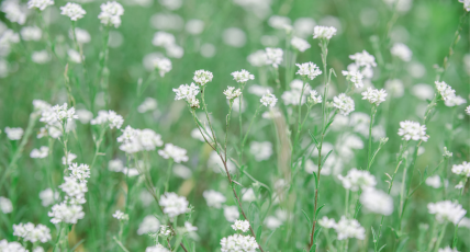 Creating a Mindful Nail Routine: The Beauty of Slowing Down